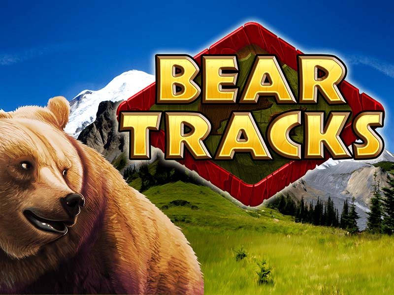 Bear Tracks Slot