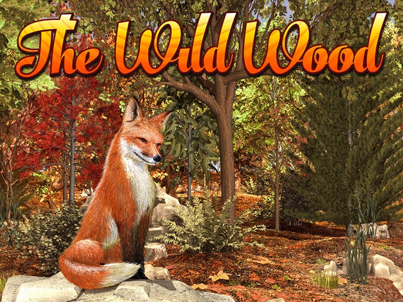 The Wild Wood Slot