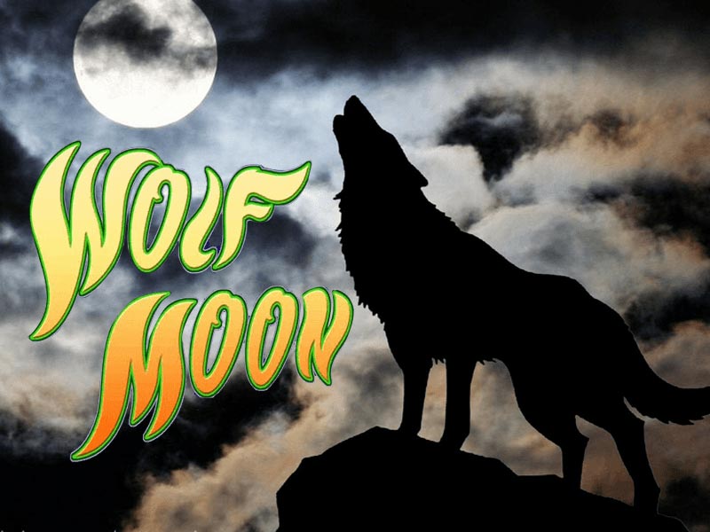 Wolf Moon Slot