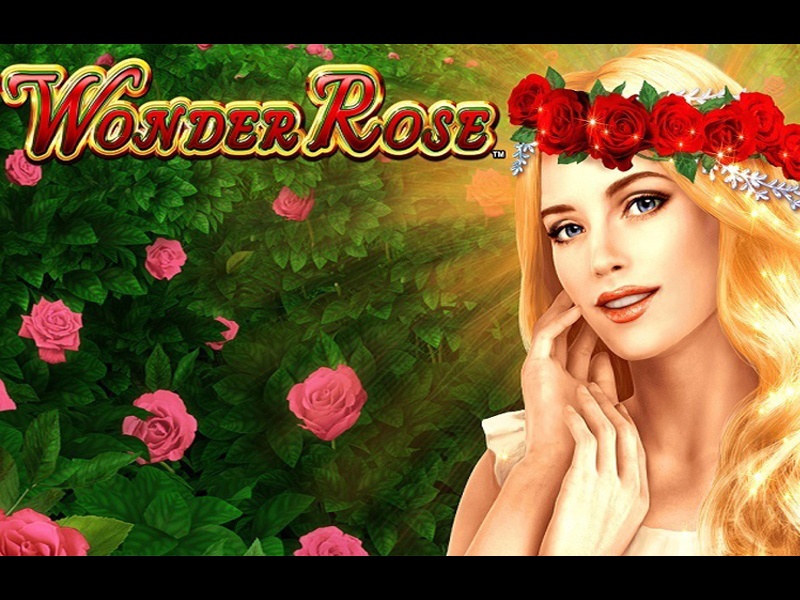 Wonder Rose Slot